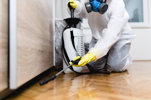 Best Emergency Pest Control  in Severance, CO