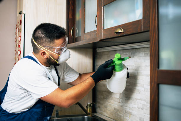 Best Commercial Pest Control Services  in Severance, CO
