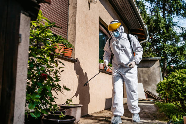 Best Cockroach Control Services  in Severance, CO