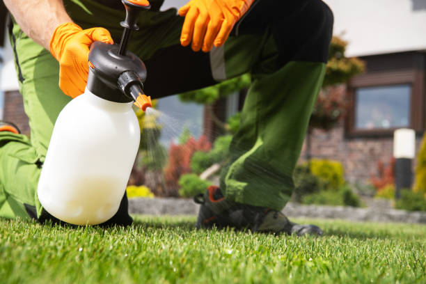 Trusted Severance, CO Pest Control Experts