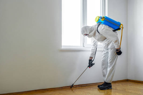Best Affordable Pest Control Services  in Severance, CO