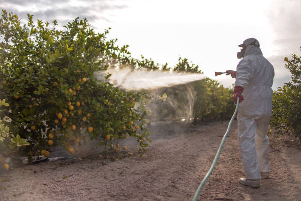 Best Mosquito Control Services  in Severance, CO