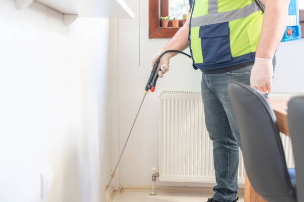 Best Local Pest Control Services  in Severance, CO