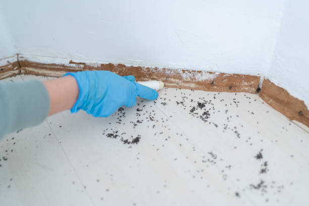 Best Pest Prevention Services  in Severance, CO