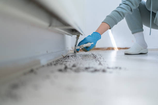  Severance, CO Pest Control Pros